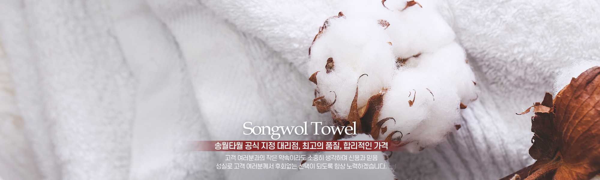 송월타올우산부산진대리점(대도사)_캐러셀pc